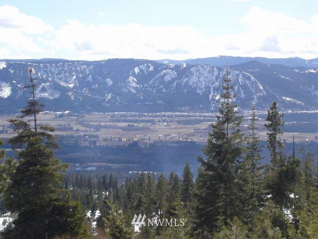 2-lot 2-lot Ridge Road Cle Elum, WA 98922 - Photo 3 of 6 Gallery Image 3