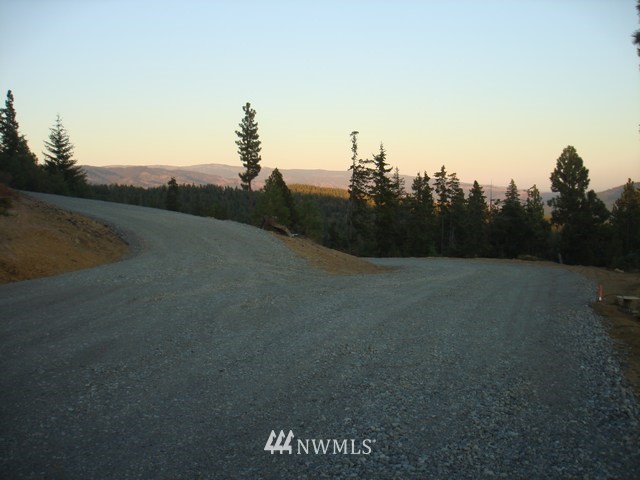2-lot 2-lot Ridge Road Cle Elum, WA 98922 - Photo 4 of 6 Gallery Image 4