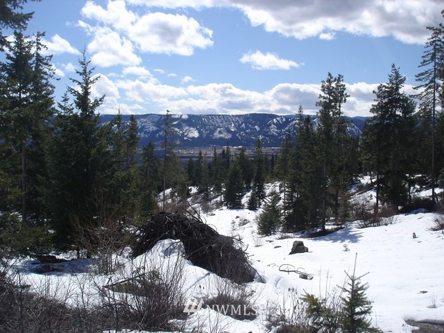 2-lot 2-lot Ridge Road Cle Elum, WA 98922 - Photo 5 of 6 Gallery Image 5