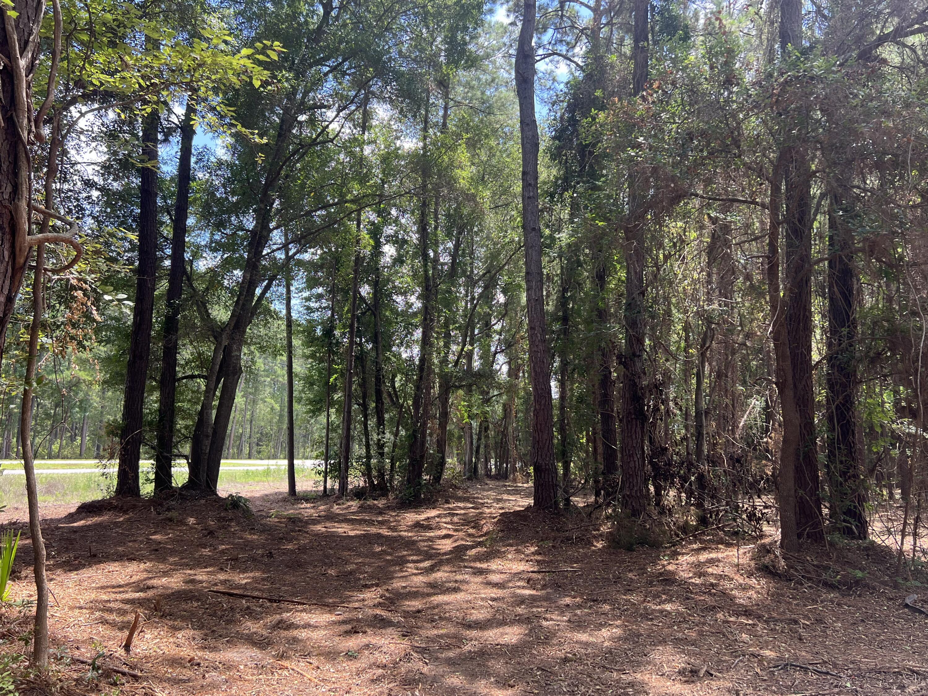 11473 South Fraser Street Georgetown, SC 29440 - Photo 12 of 14 IMG_1677