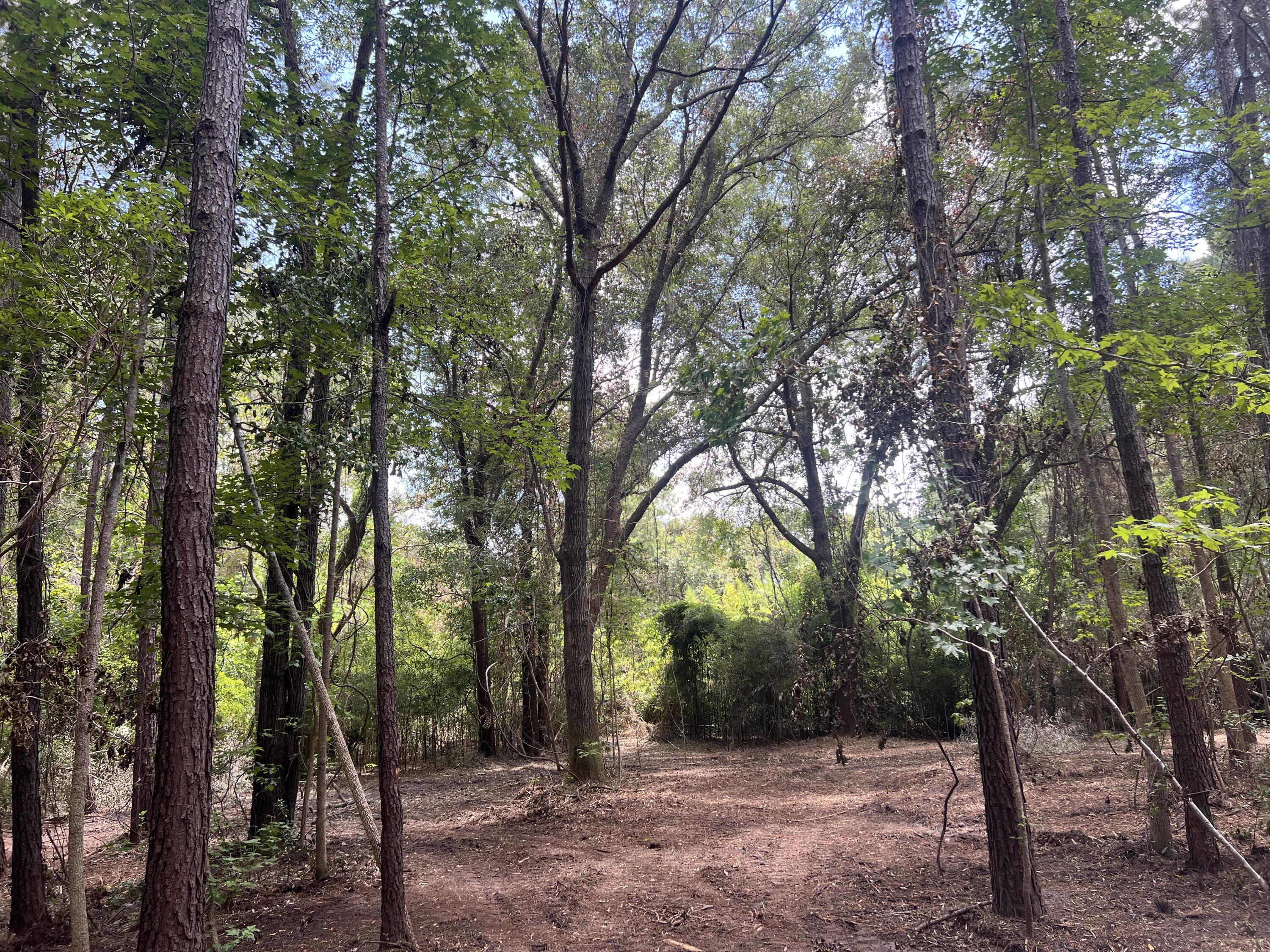 11473 South Fraser Street Georgetown, SC 29440 - Photo 6 of 14 IMG_1673