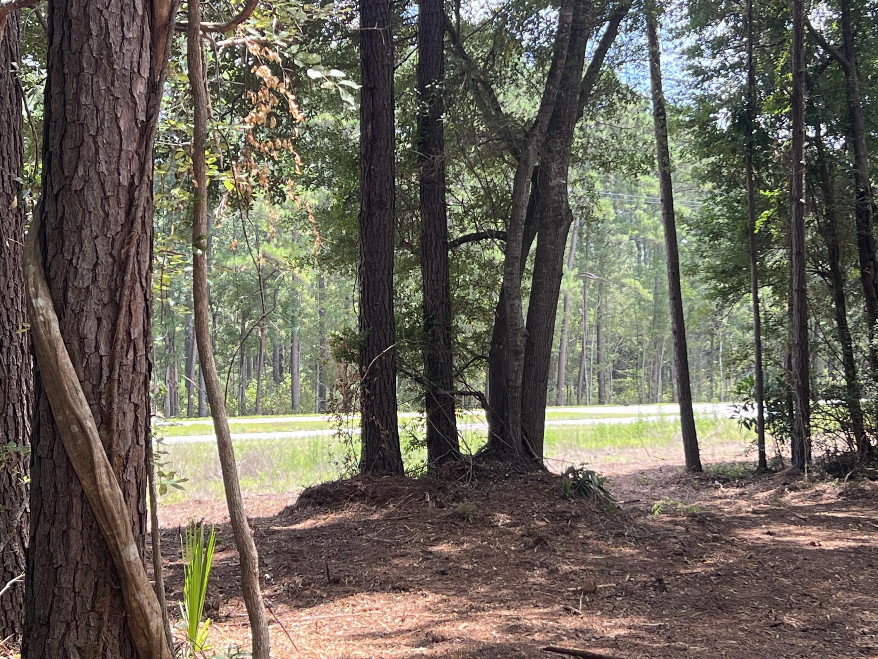 11473 South Fraser Street Georgetown, SC 29440 - Photo 7 of 14 IMG_1676