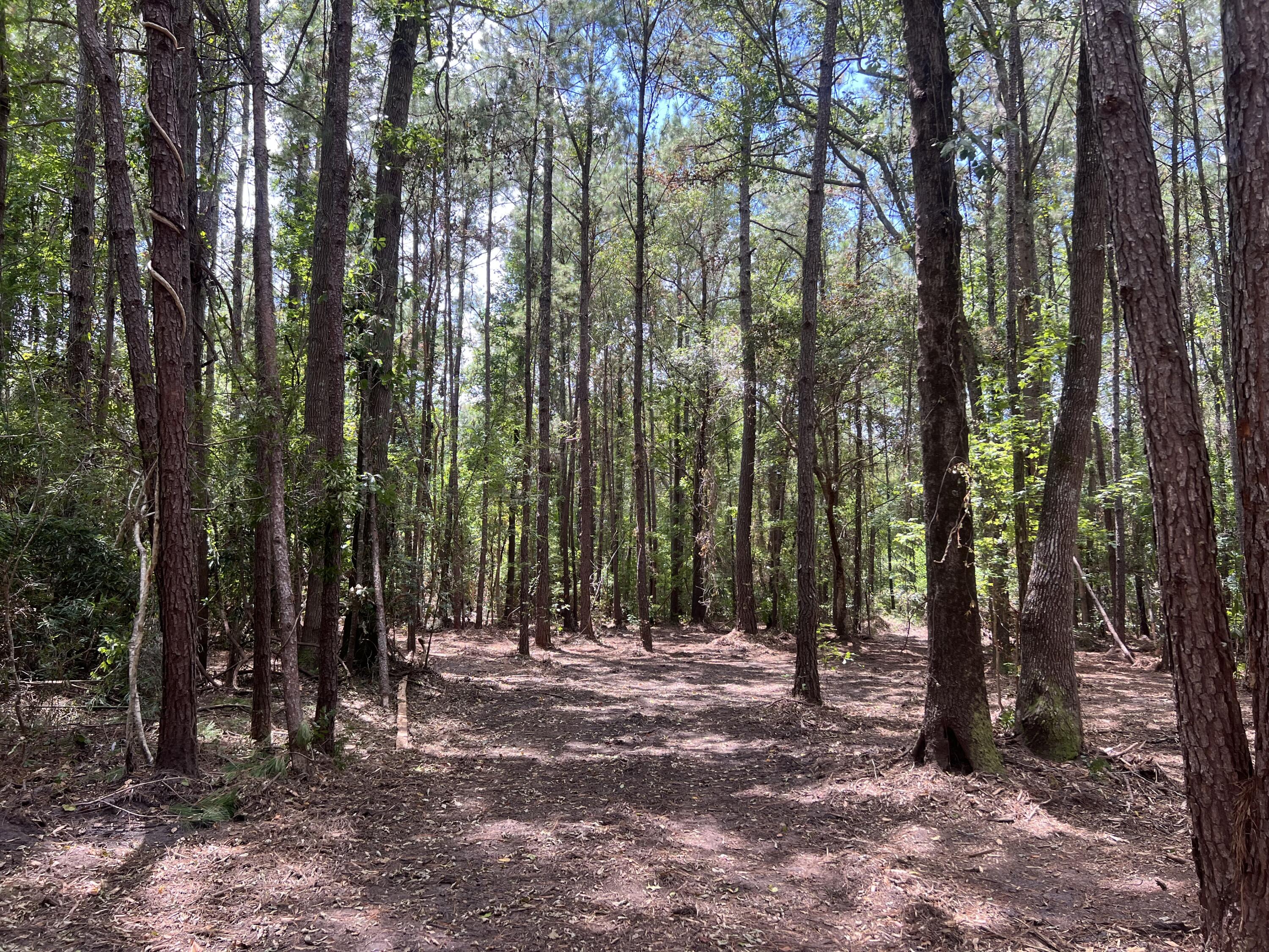 11473 South Fraser Street Georgetown, SC 29440 - Photo 8 of 14 IMG_1672