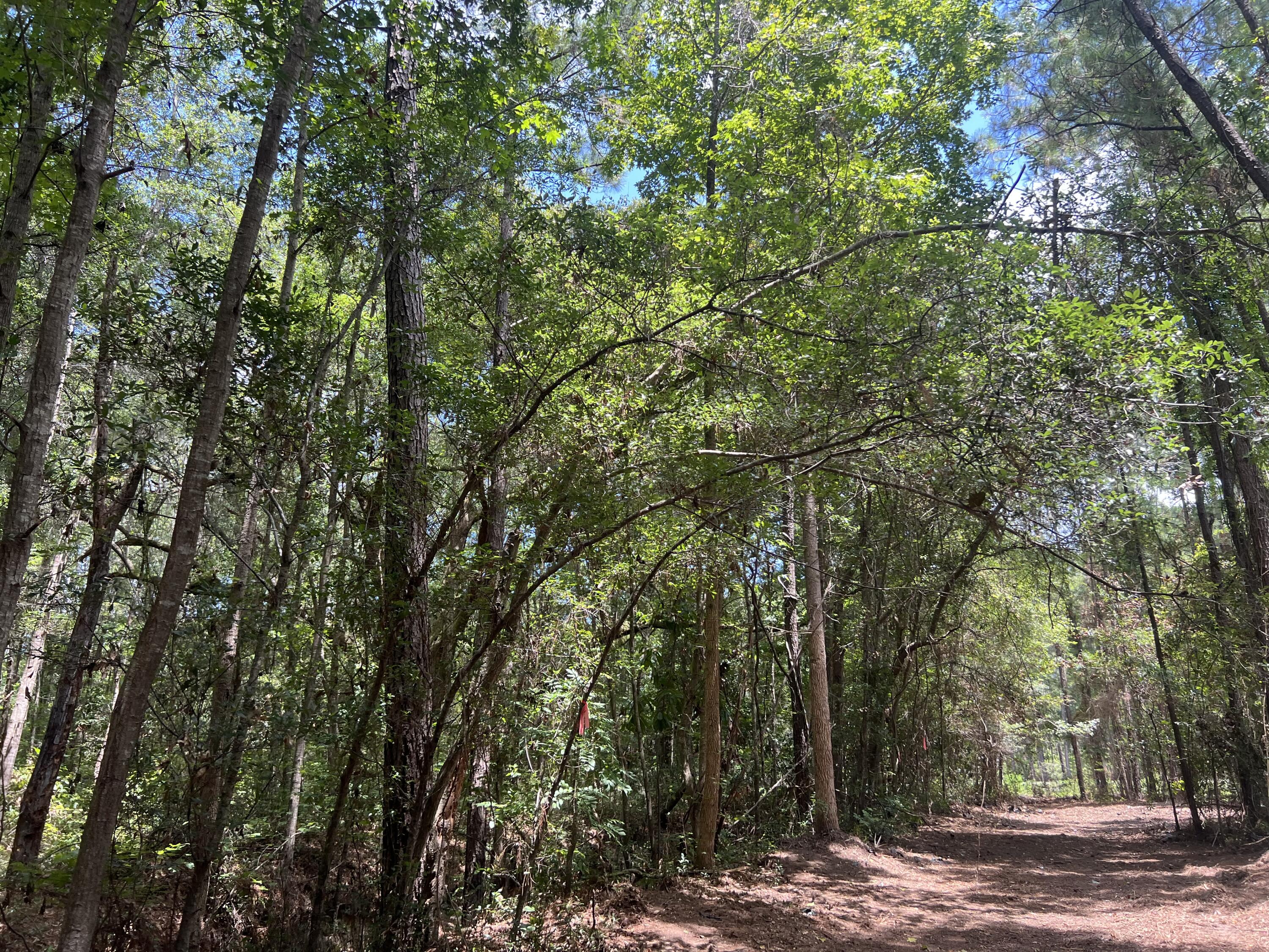 11473 South Fraser Street Georgetown, SC 29440 - Photo 10 of 14 IMG_1674