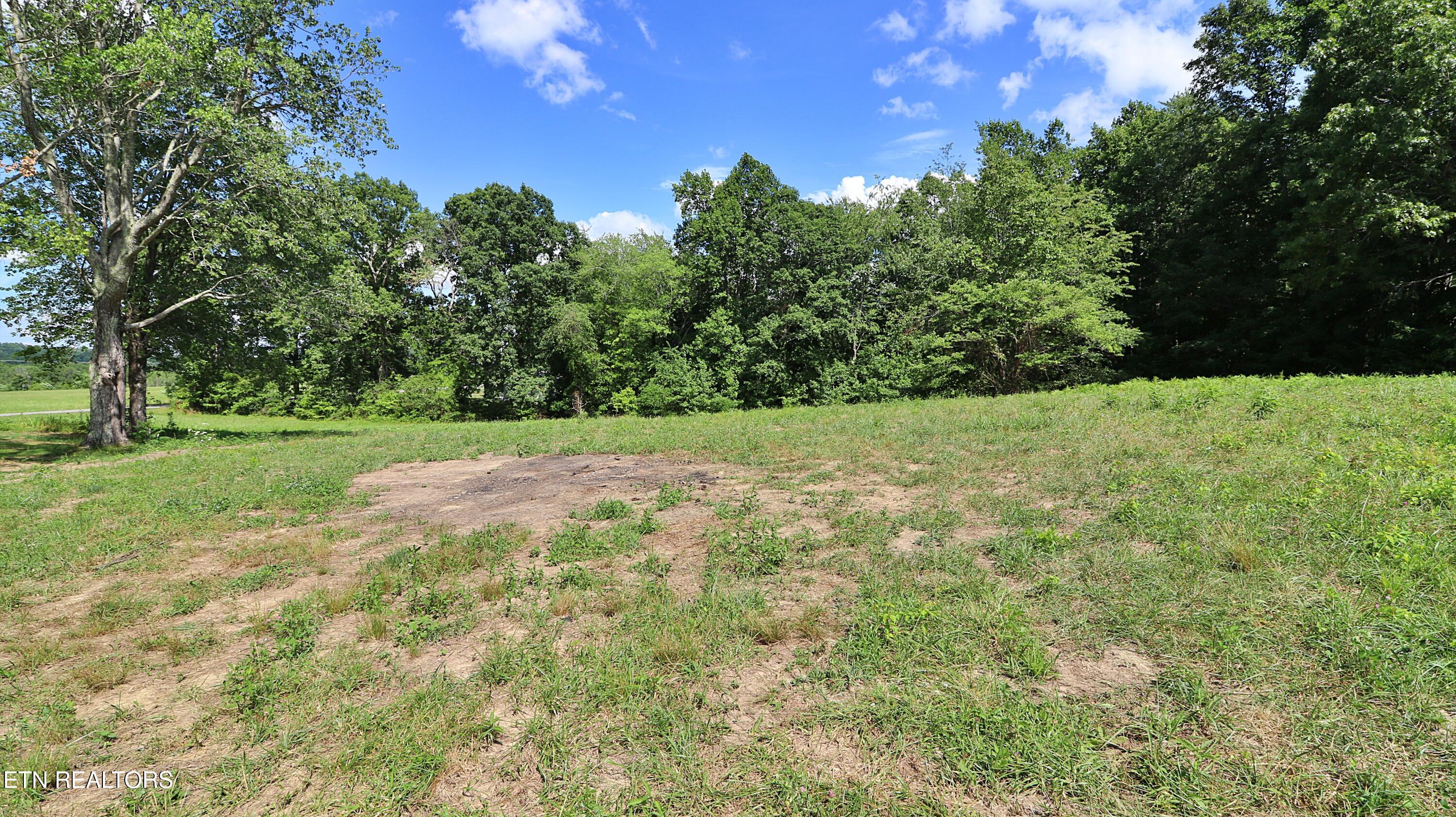 1051 Williams Creek Road Oneida, TN 37841 - Photo 44 of 57 094A7285