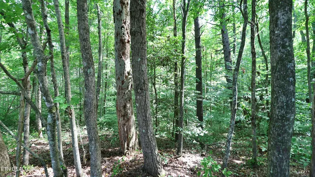 $324,000 | 1051 Williams Creek Road, Oneida, TN 37841