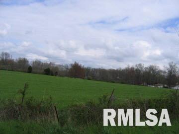 11190 Norman Road Marion, IL 62959 - Photo 3 of 3