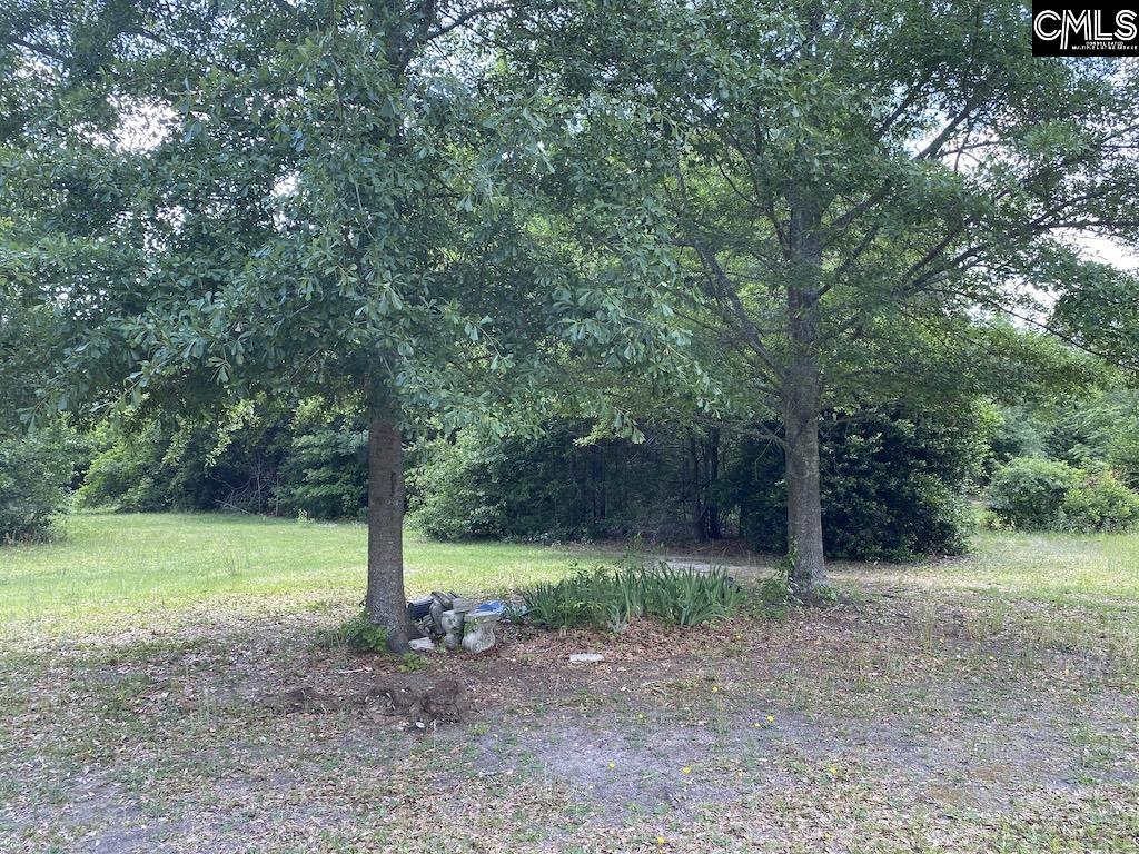 967 Clay Hill Road Pelion, SC 29123 - Photo 12 of 13