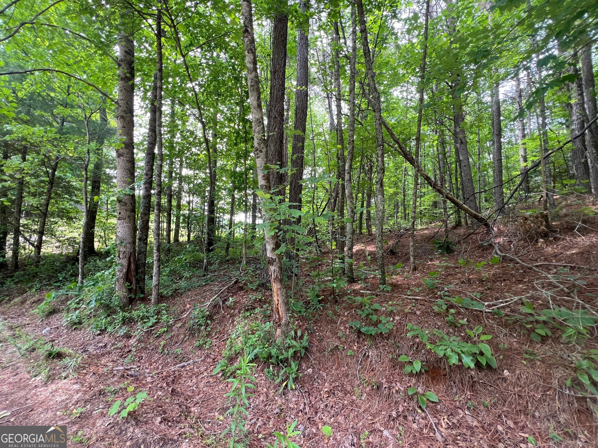 0 Mr Bert Road Hiawassee, GA 30546 - Photo 21 of 22