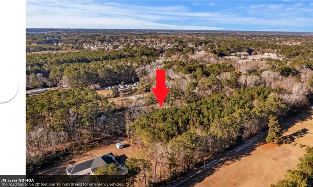 $247,500 | 0 Nye View Circle, Mount Pleasant, SC 29466