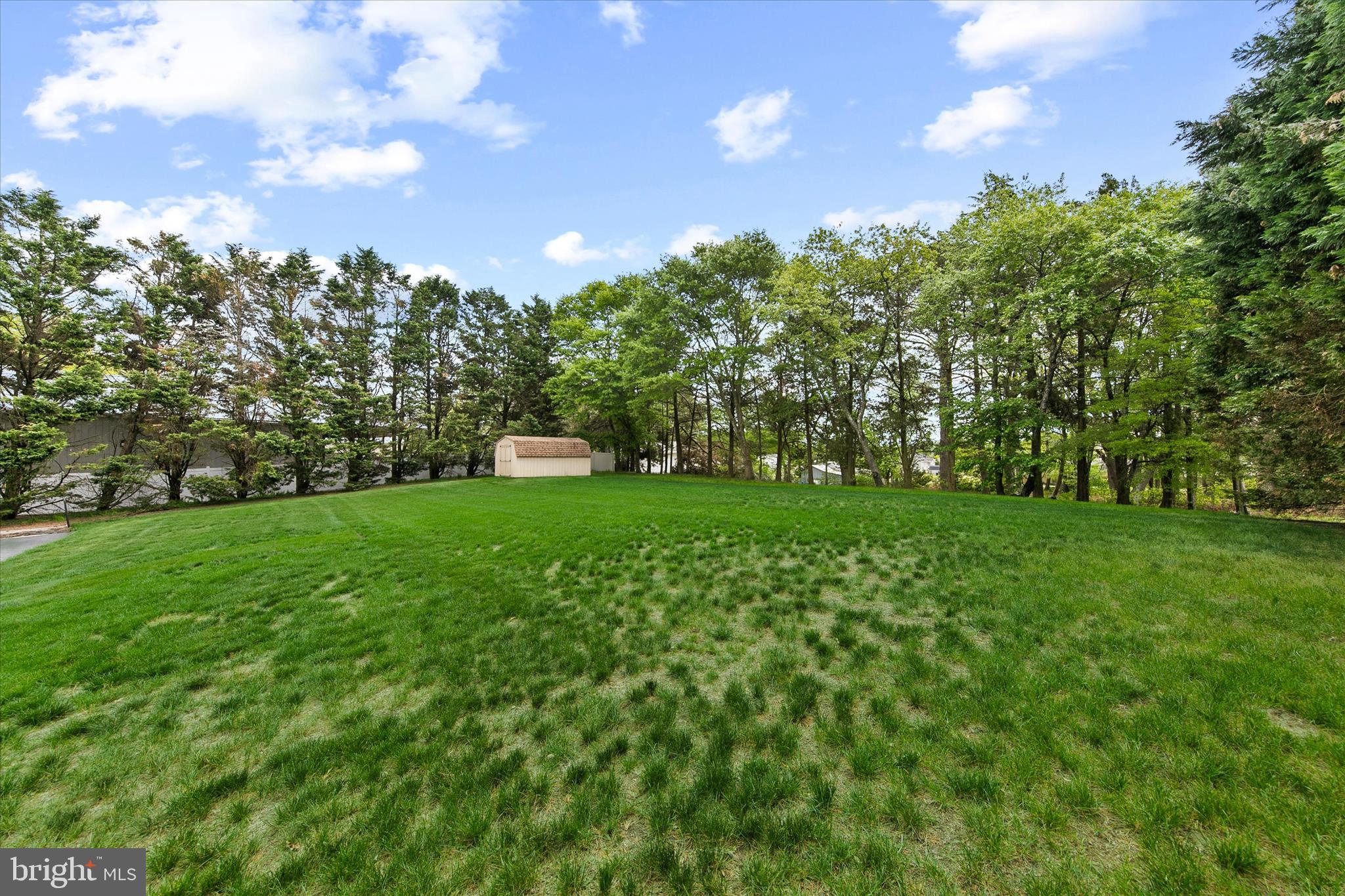 28880 Hudson Road Dagsboro, DE 19939 - Photo 40 of 55 Private .8 Acres surrounded by trees