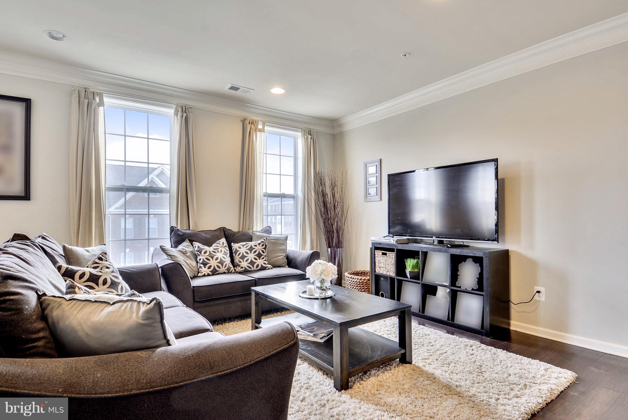 23487 Logans Ridge Terrace Ashburn, VA 20148 - Photo 8 of 27 Light-filled Living Room