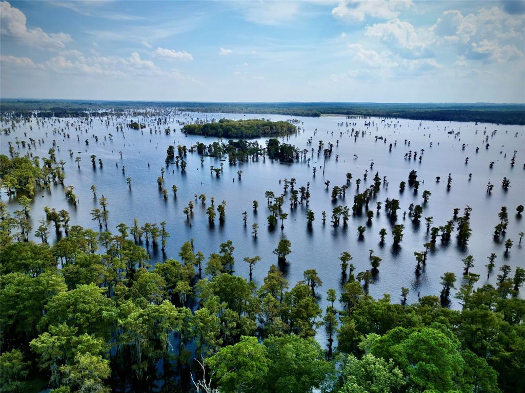 0 Rudd Road Ida, LA 71044 - Photo 6 of 16 Expansive body of water featuring numerous scattered trees and a distant tree-covered island