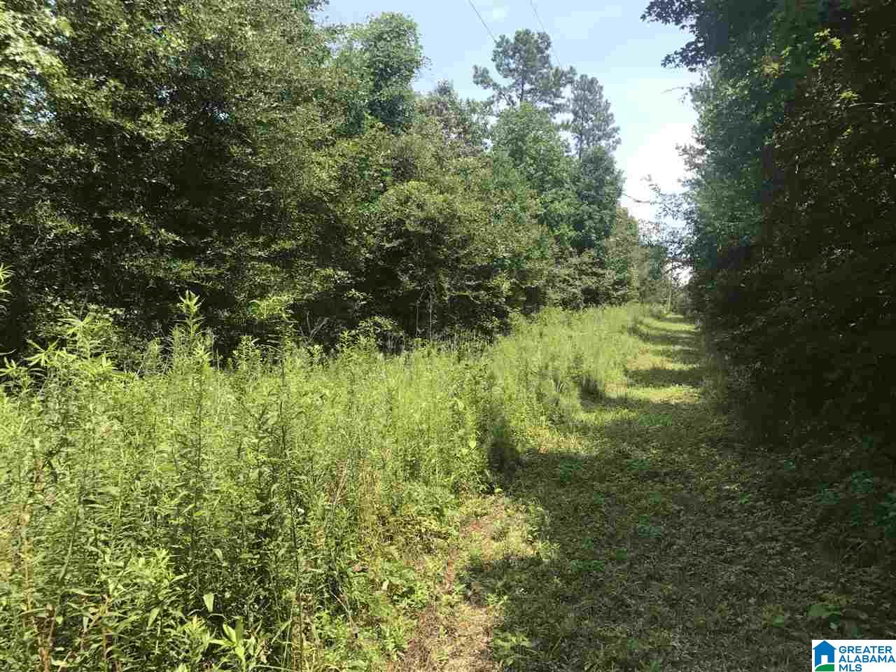 River Bend Road, Unit 4 Northport, AL 35475 - Photo 5 of 8
