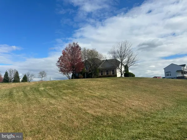 a front view of house with yard and trees