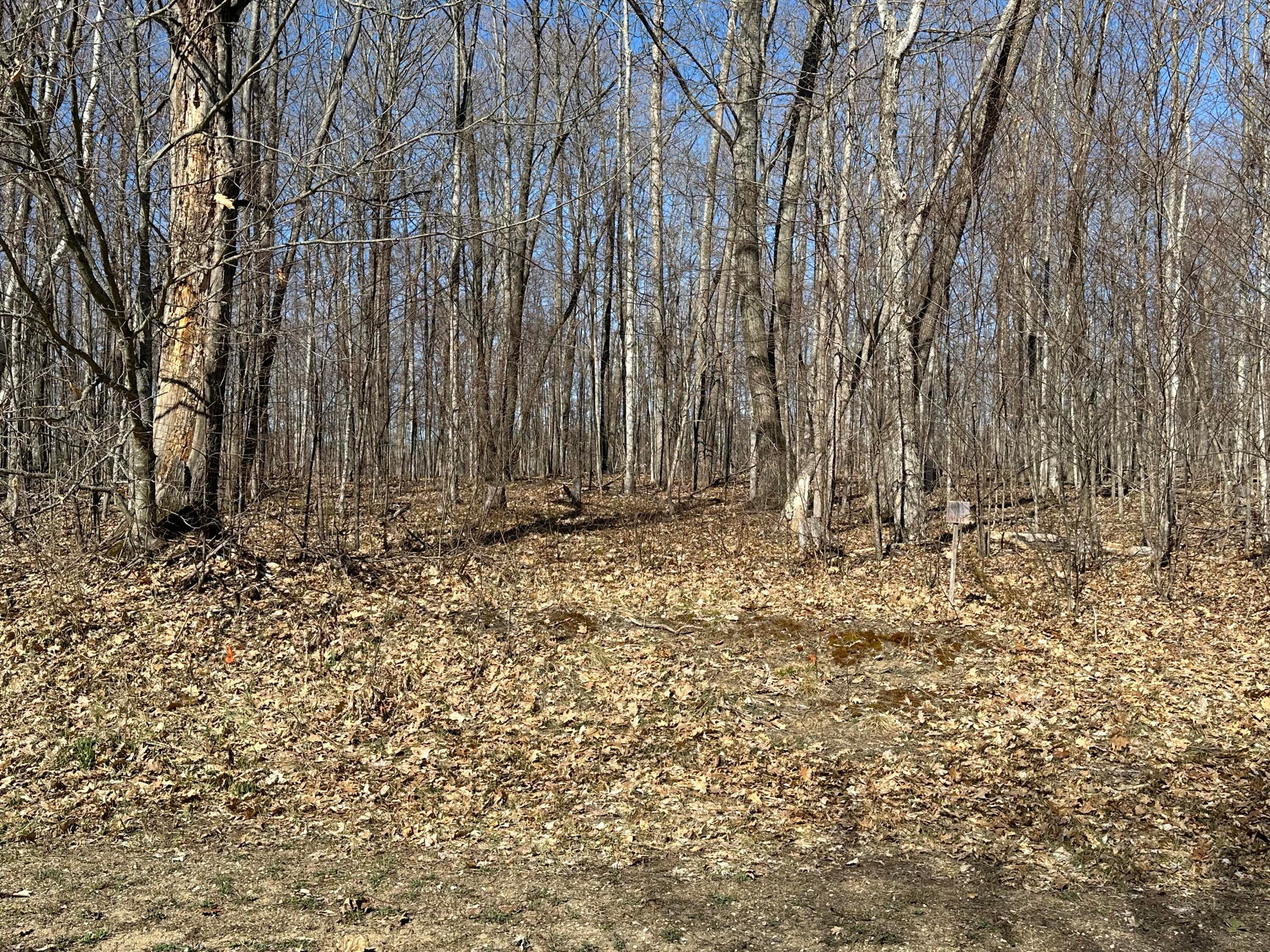 Sugar Ridge Lane Carp Lake, MI 49718 - Photo 6 of 11 Gallery Image 6