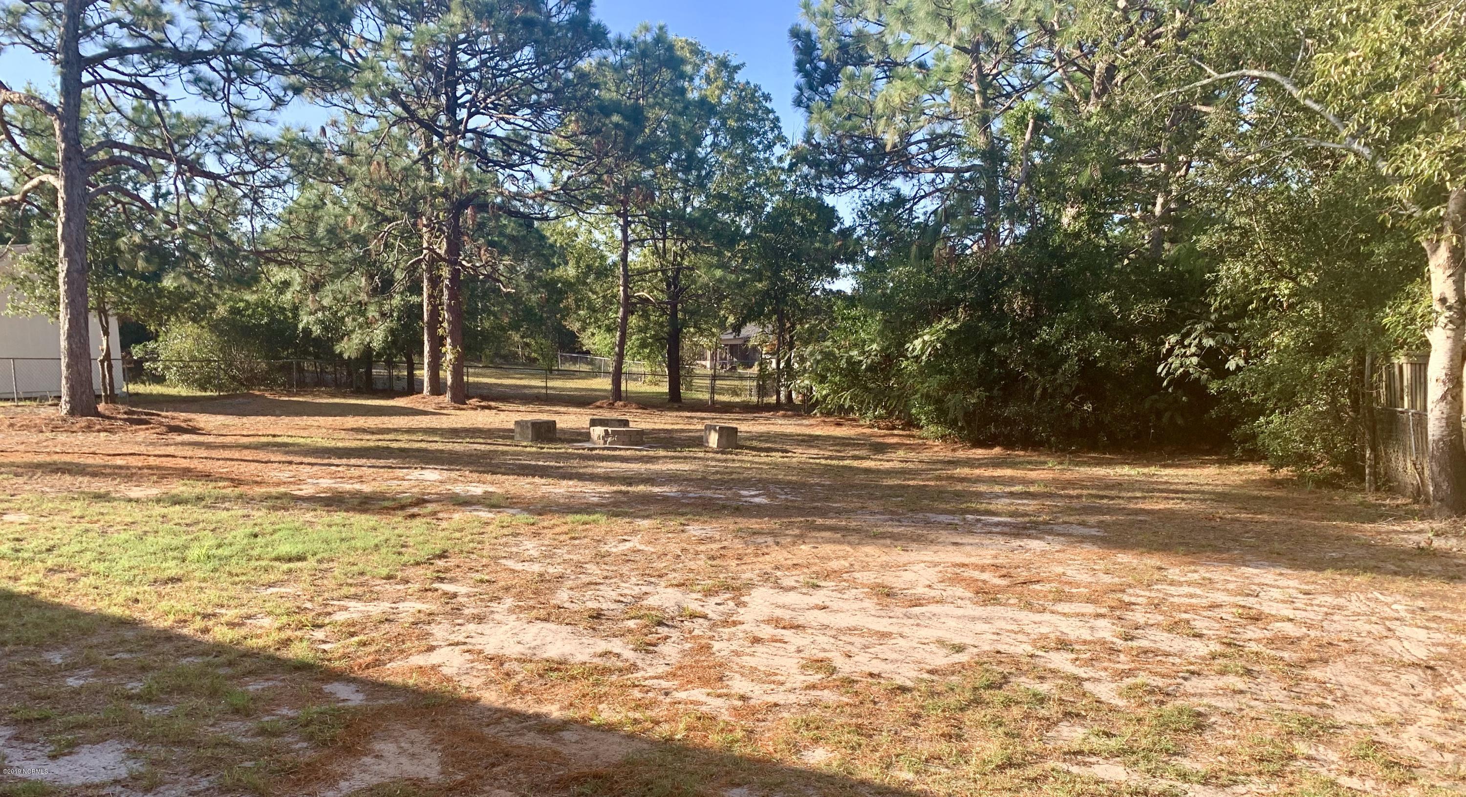 421 Bodega Bay Road Wilmington, NC 28412 - Photo 19 of 23 Back Yard