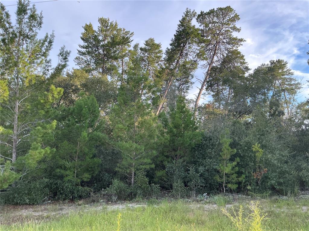a view of a lake with trees in the background