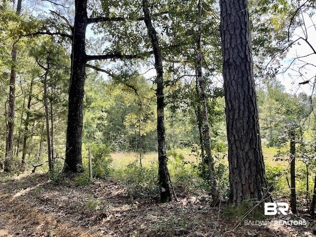 71290 Ralph Gantt Road Little River, AL 36550 - Photo 20 of 31 Gallery Image 20