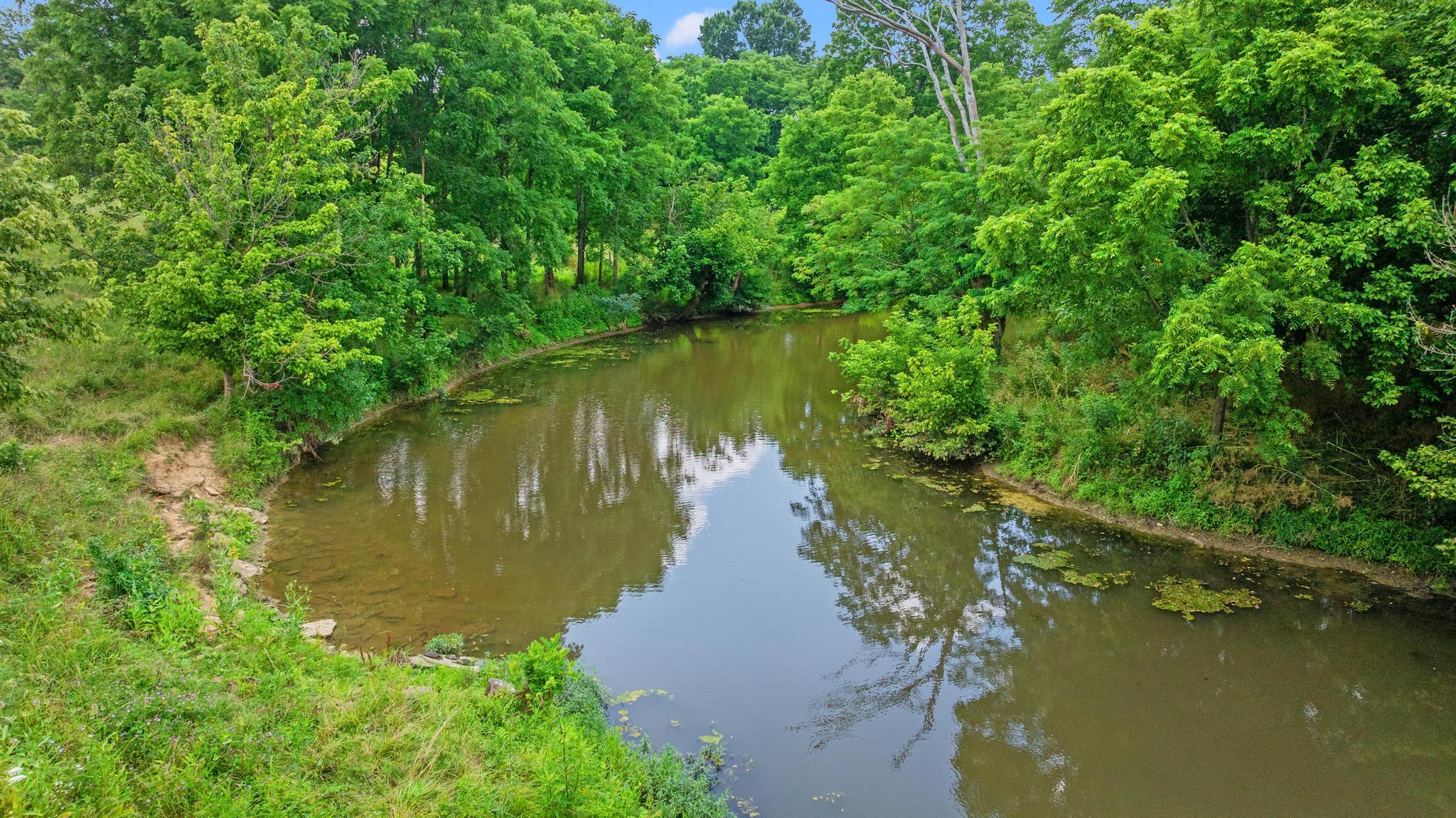 783 Rutland Road Cynthiana, KY 41031 - Photo 38 of 50 DJI_20260618123557_0873_D