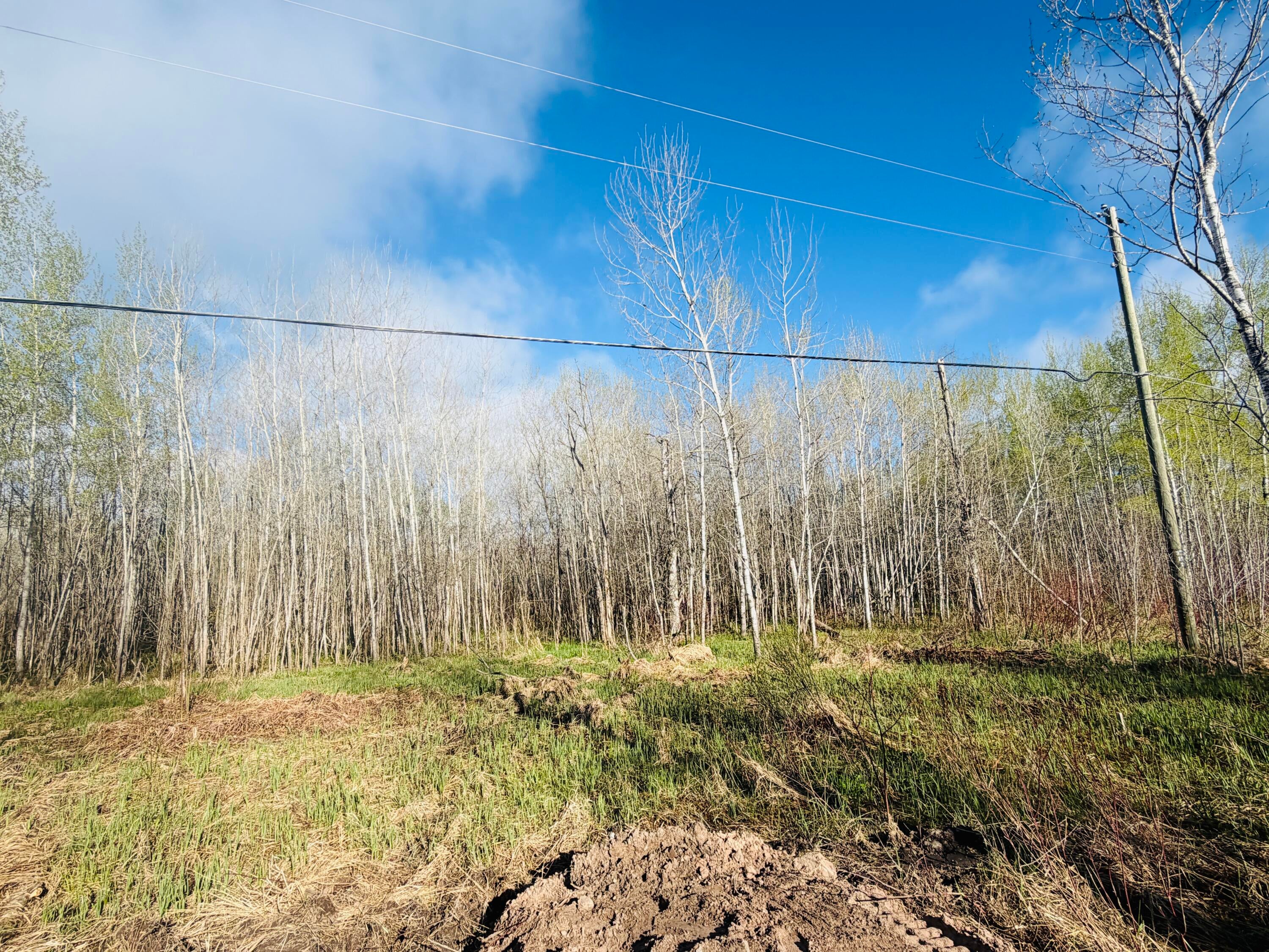 0 South Riverside Drive Sault Ste. Marie, MI 49783 - Photo 3 of 8 Gallery Image 3