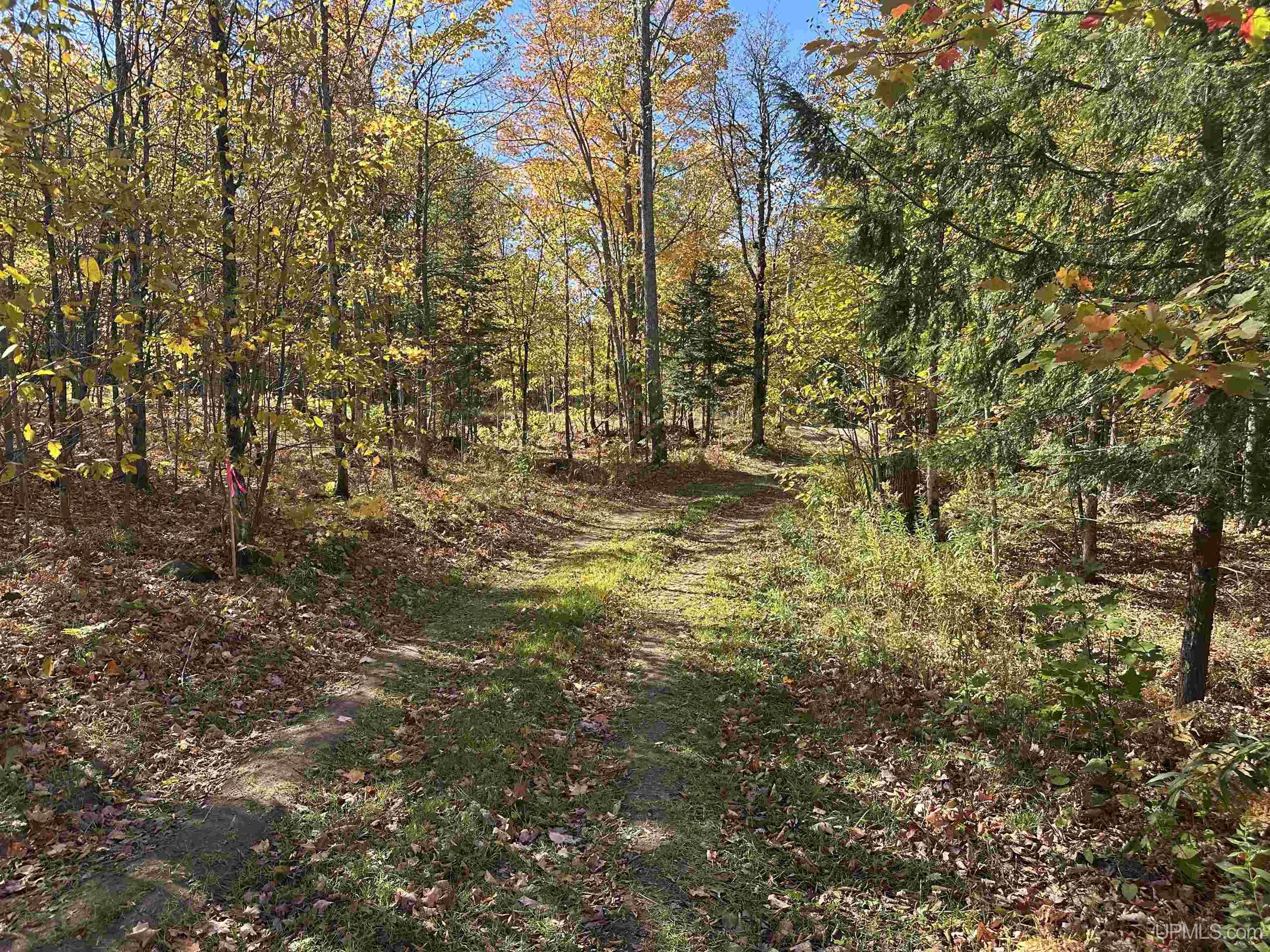 Tbd Tbd Remington Road Marquette, MI 49855 - Photo 5 of 25