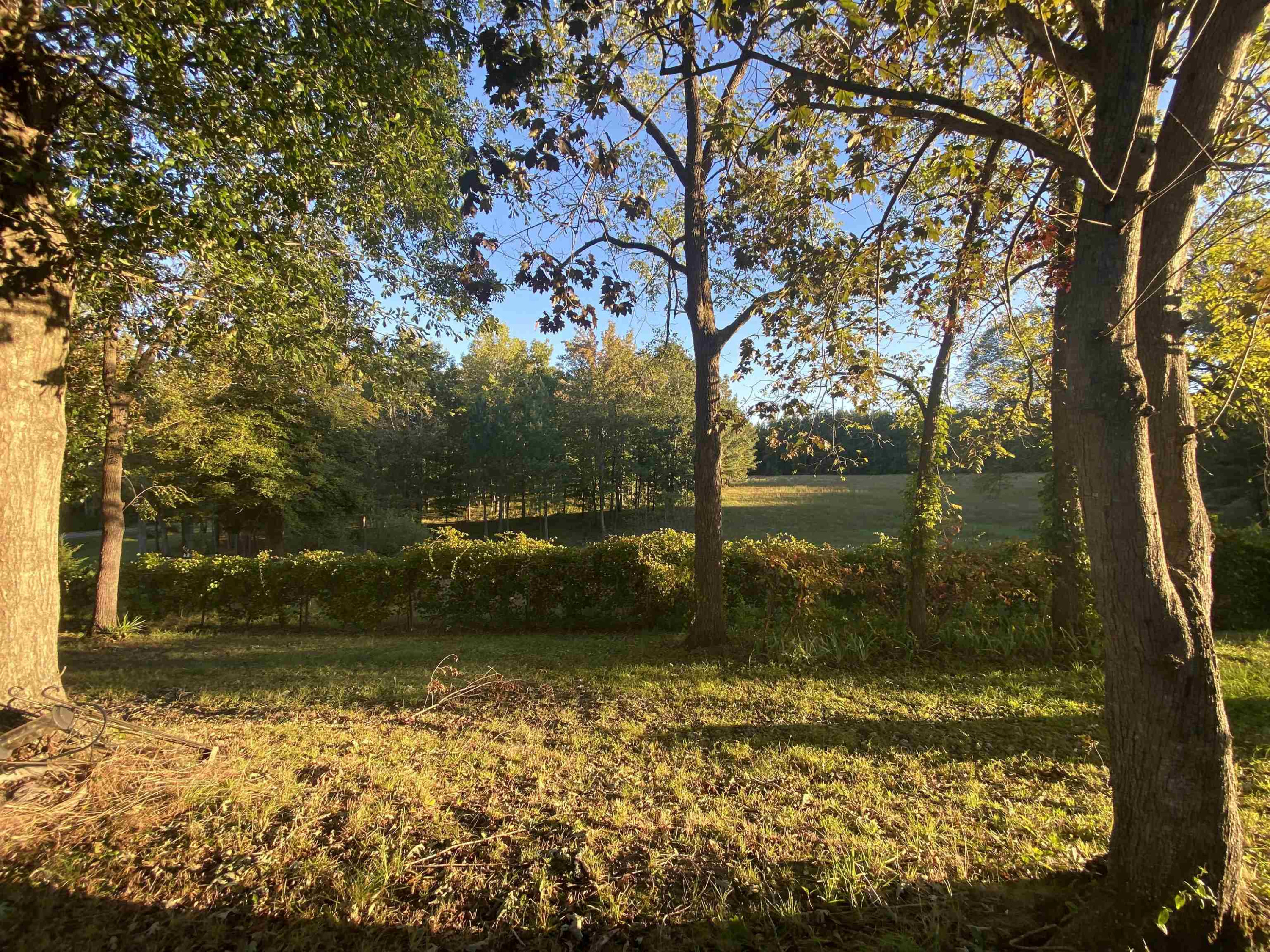 14833 Creedmoor Road Wake Forest, NC 27587 - Photo 16 of 18 Photo 16