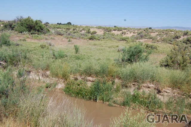 1645 9 Road Mack, CO 81525 - Photo 3 of 4 a view of a dry yard with wooden floor and fence
