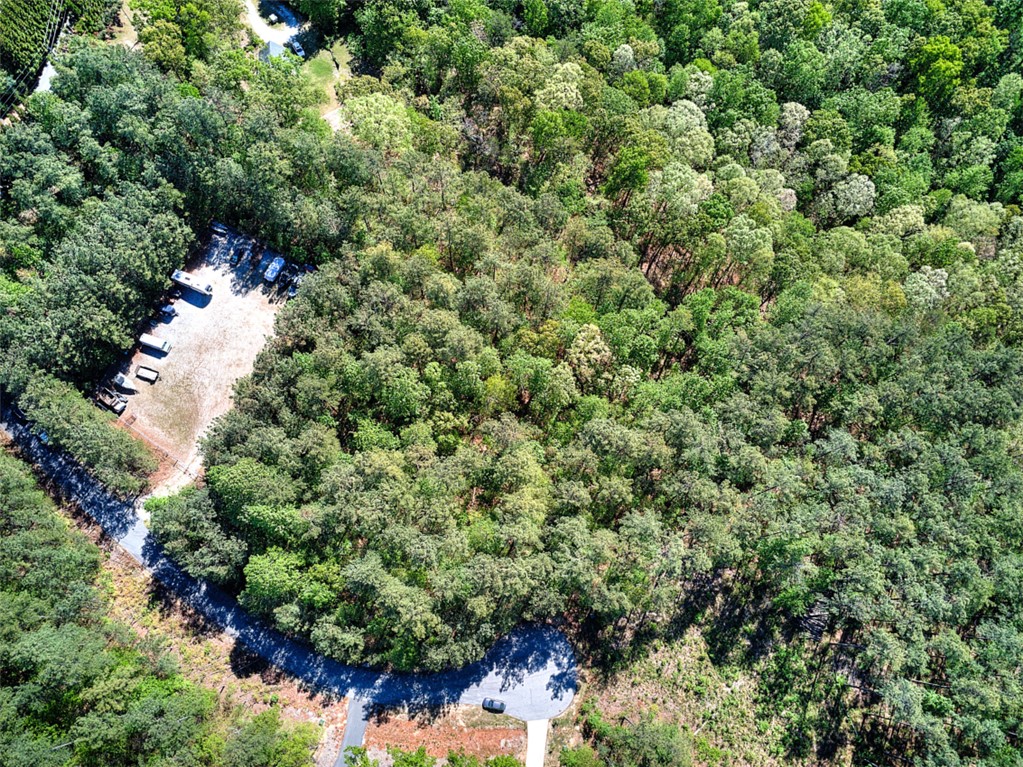 Lot E-31 Pine Ridge Way Salem, SC 29676 - Photo 11 of 17 This verdant expanse offers abundant space for development, surrounded by mature trees.