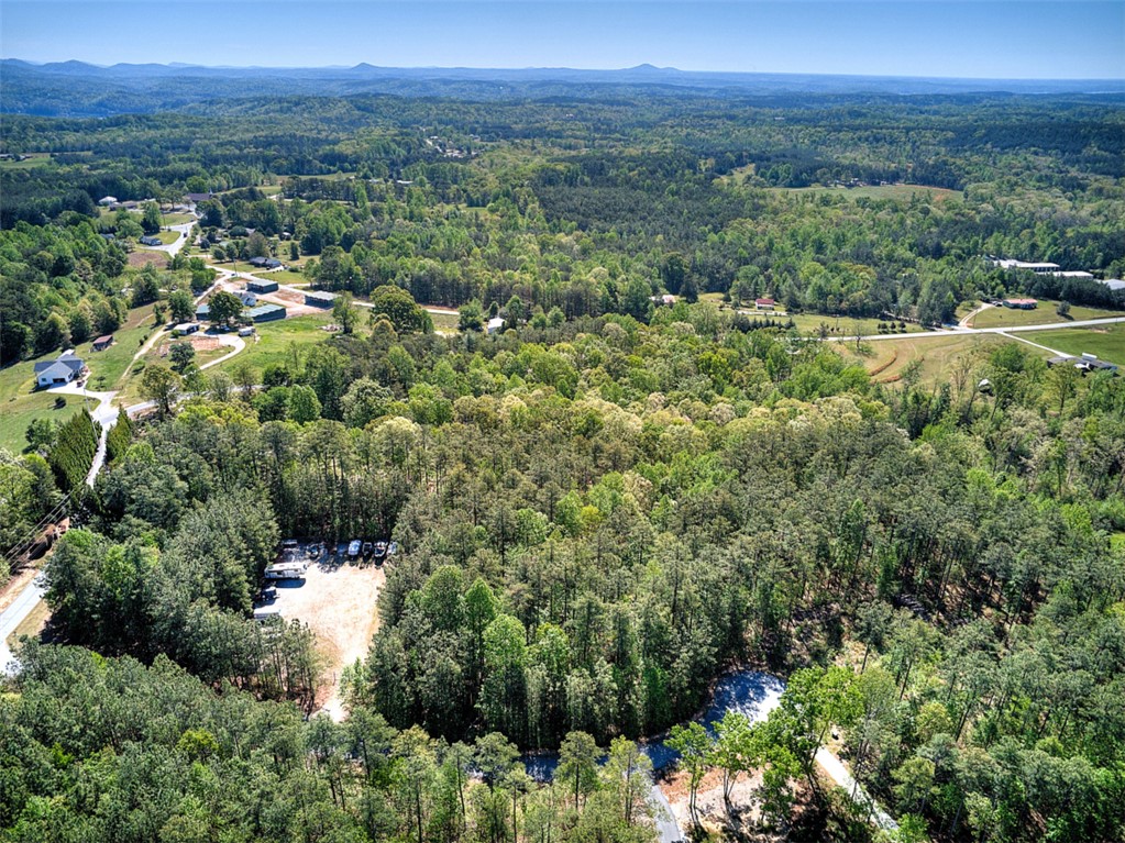 Lot E-31 Pine Ridge Way Salem, SC 29676 - Photo 15 of 17 Expansive acreage provides a verdant backdrop for serene living, offering both privacy and panoramic views.