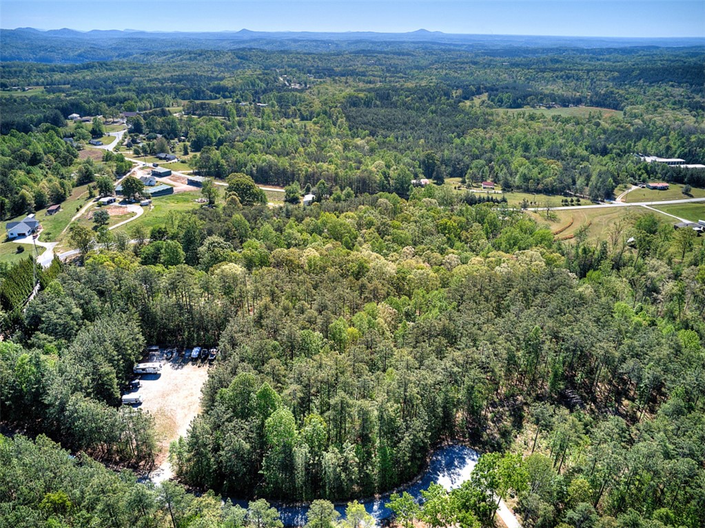 Lot E-31 Pine Ridge Way Salem, SC 29676 - Photo 16 of 17 An aerial view captures the vast expanse of forested land, offering both seclusion and panoramic vistas.