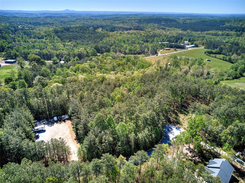 Lot E-31 Pine Ridge Way Salem, SC 29676 - Photo 17 of 17 Expansive acreage provides a verdant landscape, offering seclusion and future development opportunities.