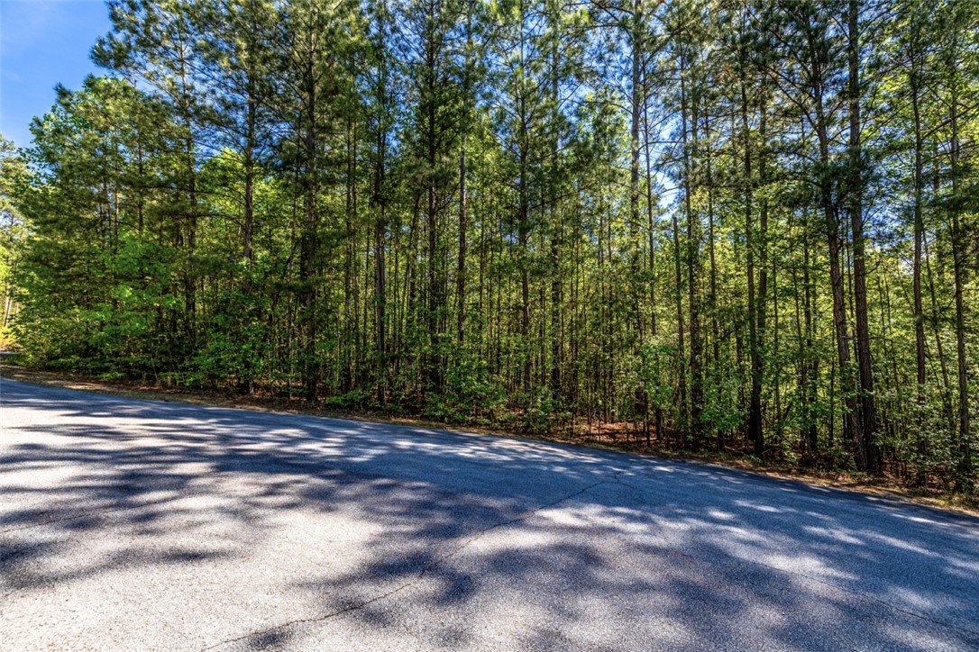 Lot E-31 Pine Ridge Way Salem, SC 29676 - Photo 5 of 17 This lot offers a natural, verdant landscape, perfect for building your dream home.