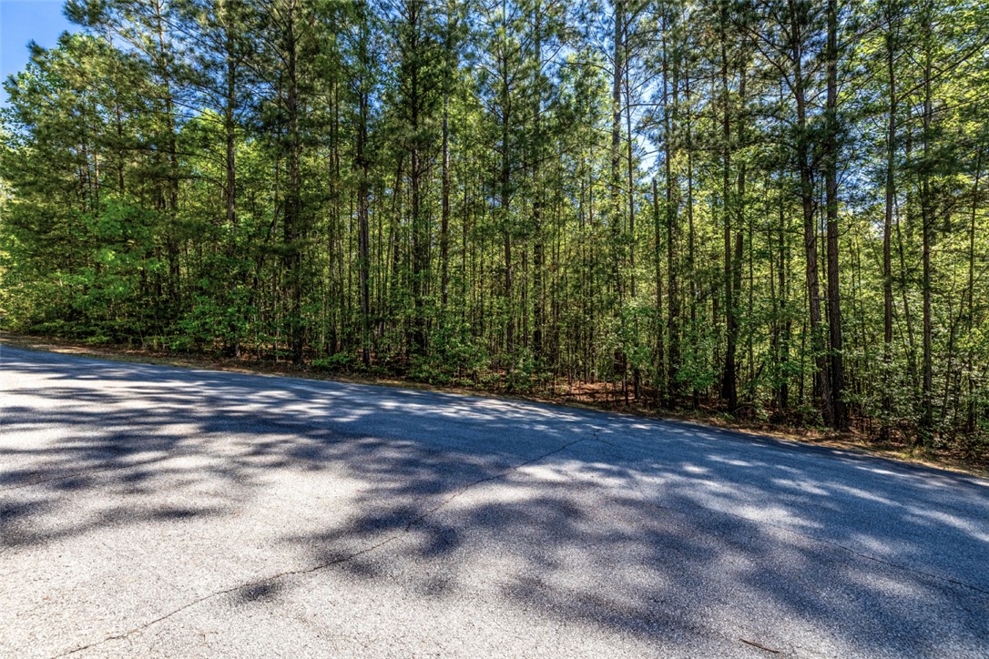 Lot E-31 Pine Ridge Way Salem, SC 29676 - Photo 6 of 17 This serene wooded lot offers a tranquil escape, perfect for building your dream home.