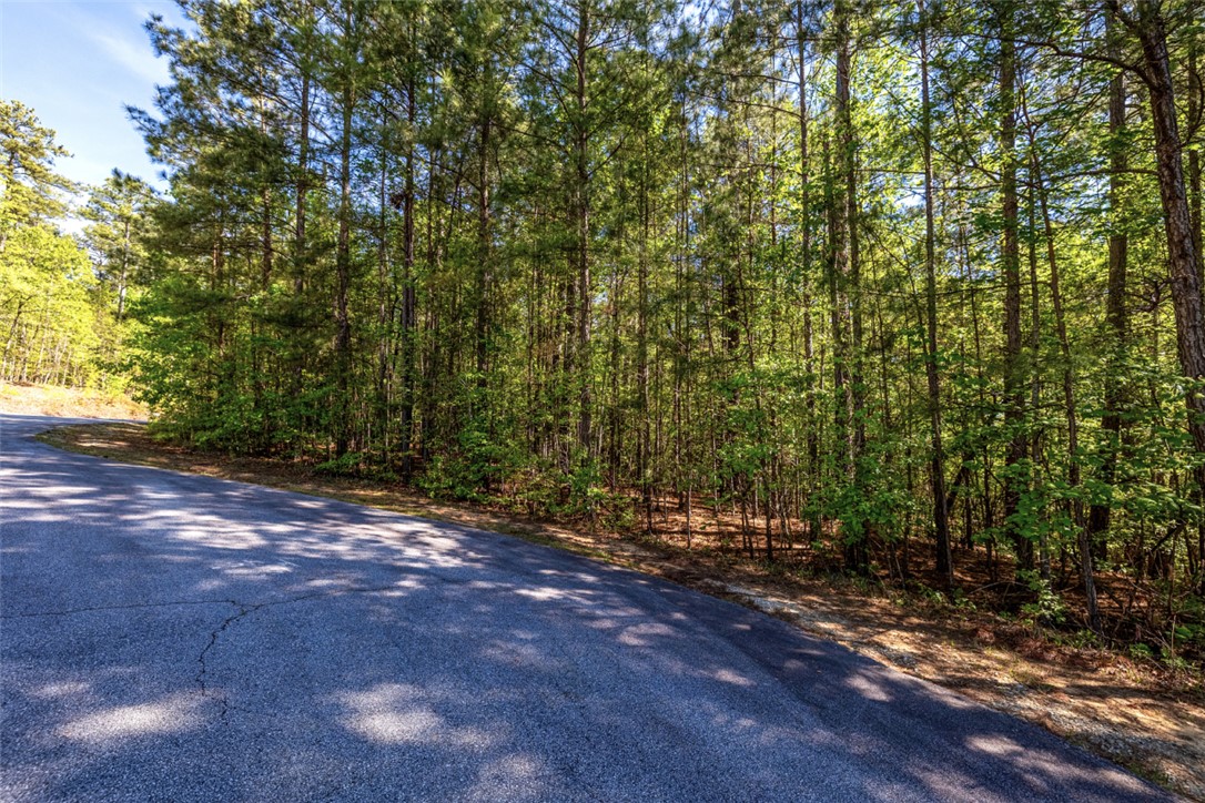 Lot E-31 Pine Ridge Way Salem, SC 29676 - Photo 7 of 17 Mature trees line the property, providing natural beauty and seclusion.