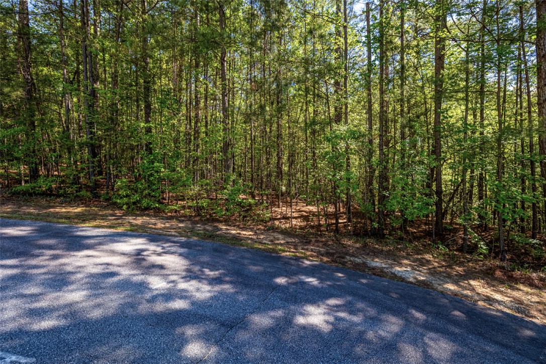Lot E-31 Pine Ridge Way Salem, SC 29676 - Photo 8 of 17 Mature trees line the property, offering a serene and private natural setting.