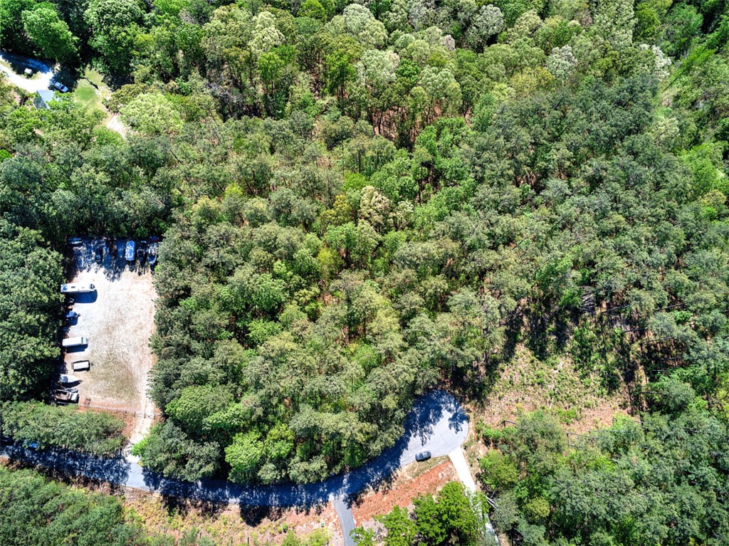 Lot E-31 Pine Ridge Way Salem, SC 29676 - Photo 10 of 17 This aerial view showcases a vibrant woodland property with ample cleared space.