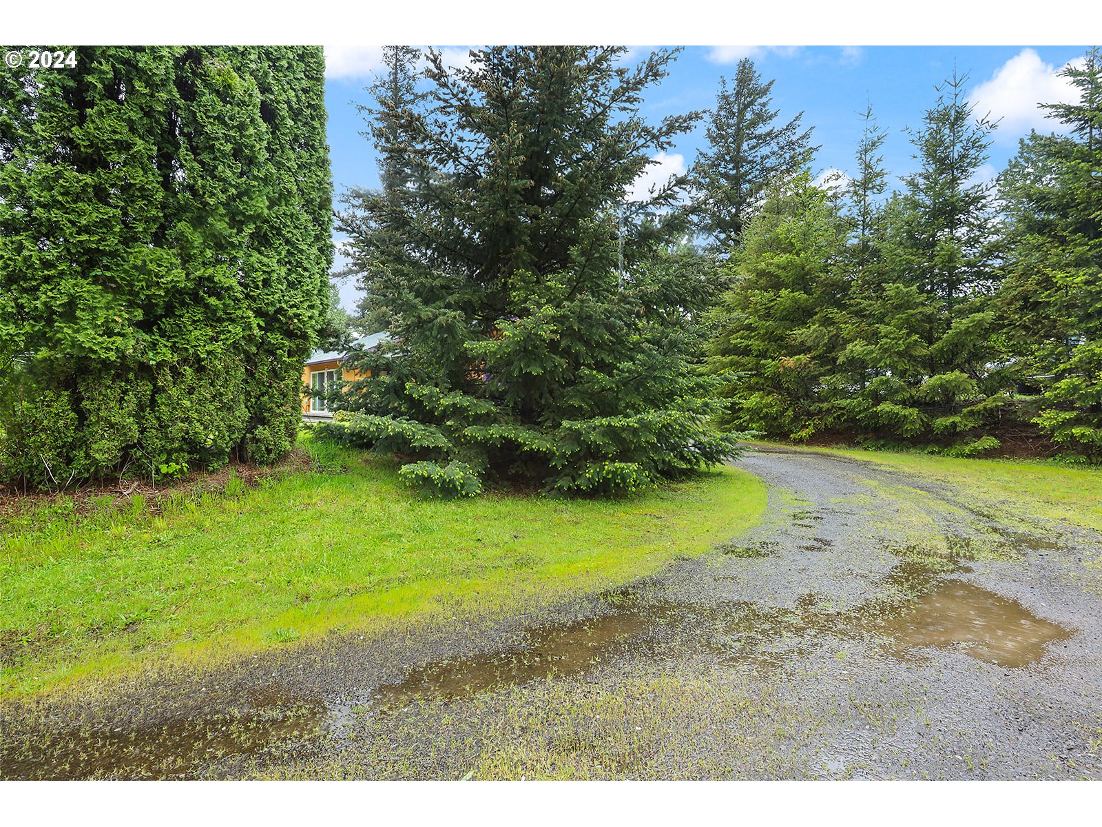 6972 East Loop Road Stevenson, WA 98648 - Photo 47 of 48 a view of a yard