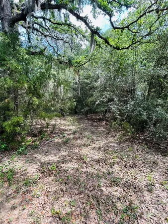 $875,000 | 25-acres Dunlavy Road, Cat Spring, TX 78933