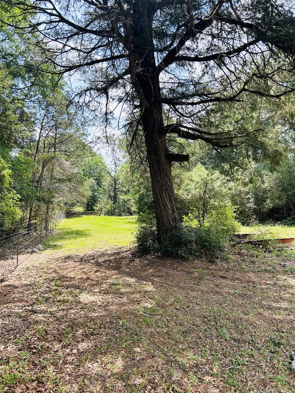 25-acres Dunlavy Road Cat Spring, TX 78933 - Photo 3 of 10