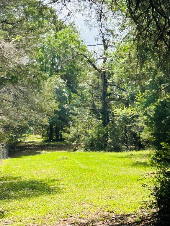 25-acres Dunlavy Road Cat Spring, TX 78933 - Photo 4 of 10