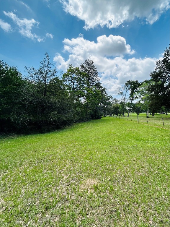 25-acres Dunlavy Road Cat Spring, TX 78933 - Photo 5 of 10