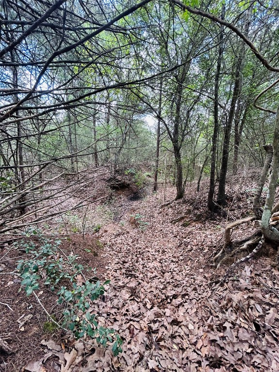 25-acres Dunlavy Road Cat Spring, TX 78933 - Photo 6 of 10