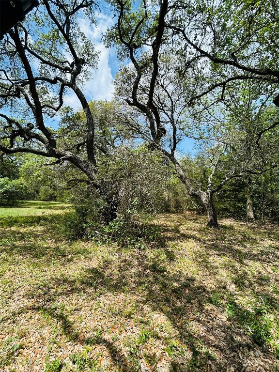 25-acres Dunlavy Road Cat Spring, TX 78933 - Photo 8 of 10
