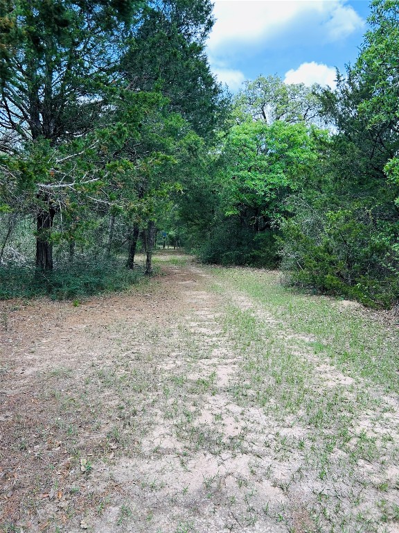 25-acres Dunlavy Road Cat Spring, TX 78933 - Photo 9 of 10
