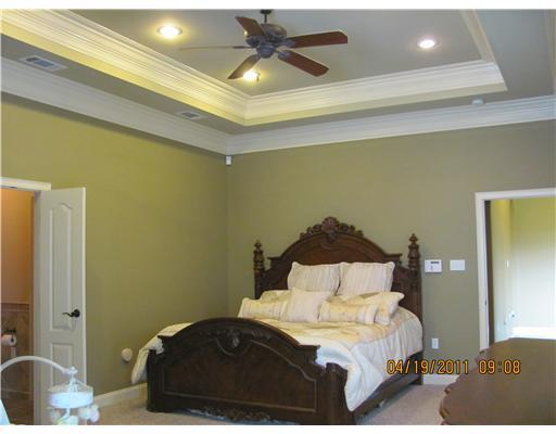 53234 South Bennett Road Independence, LA 70443 - Photo 10 of 19