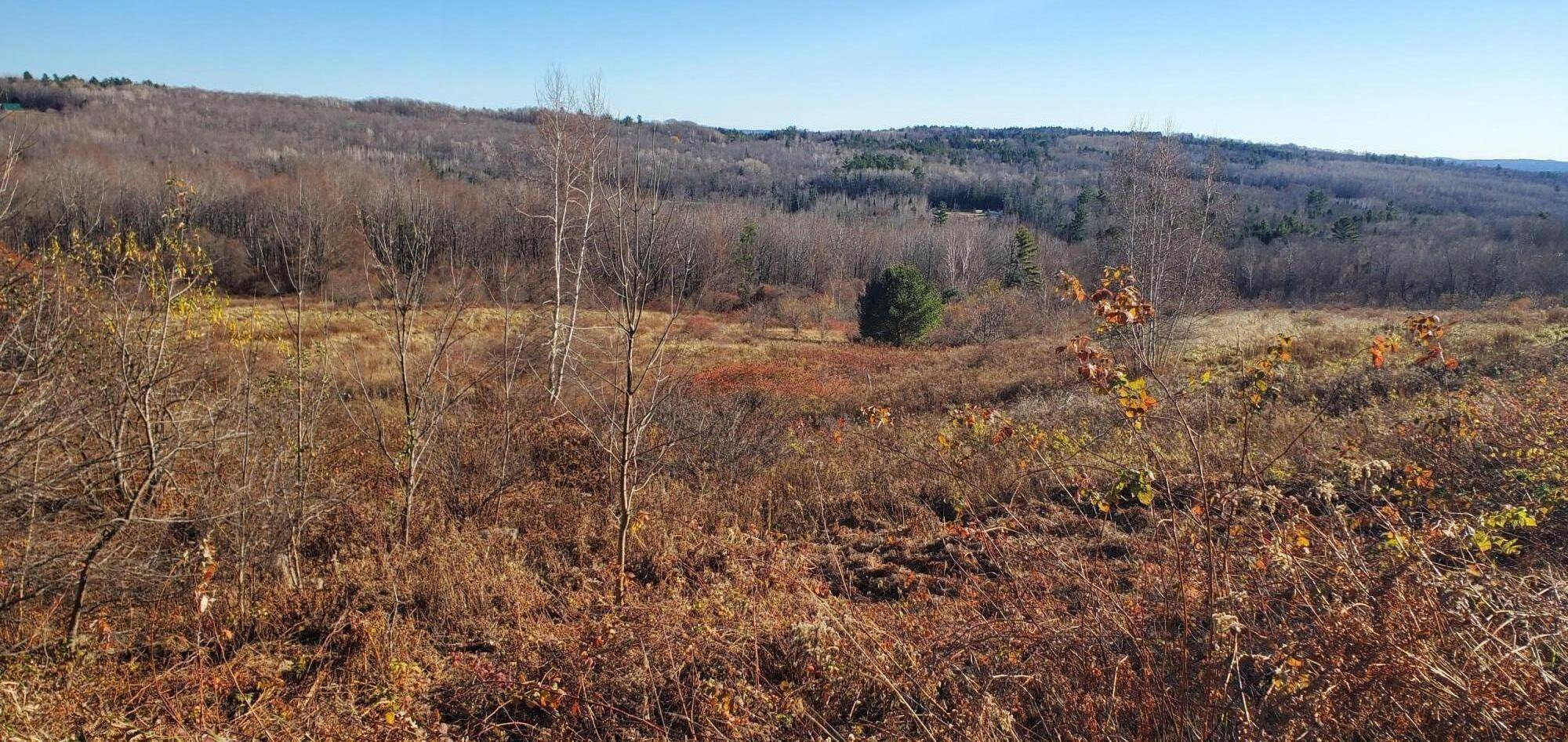 577 Titcomb Hill Road Farmington, ME 04938 - Photo 3 of 4 Petersen2