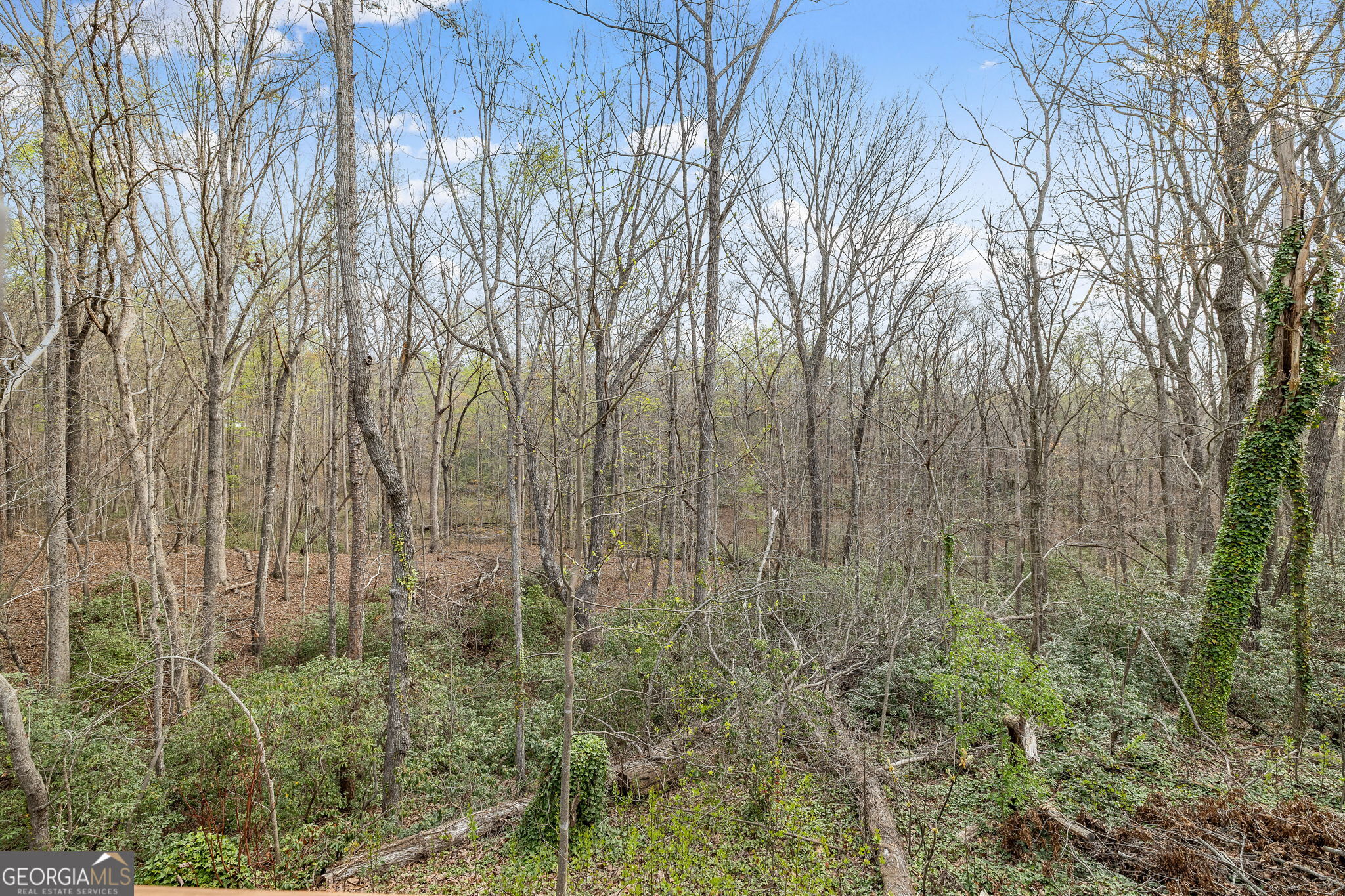 401 Otis Brown Road Baldwin, GA 30511 - Photo 23 of 23 a view of forest