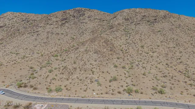 a view of a dry yard