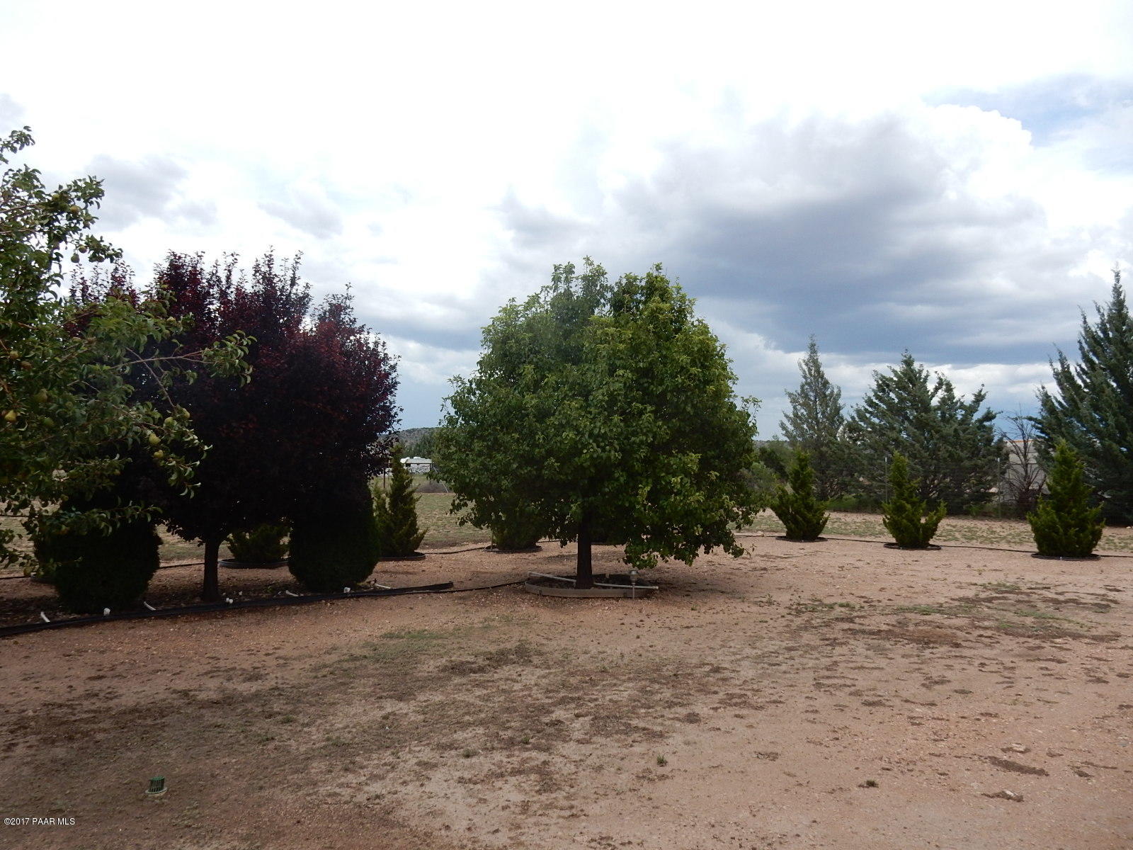 600 West Iris Road Paulden, AZ 86334 - Photo 8 of 39 a view of outdoor space with green space